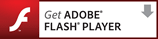  Adobe Flash Player ダウンロード